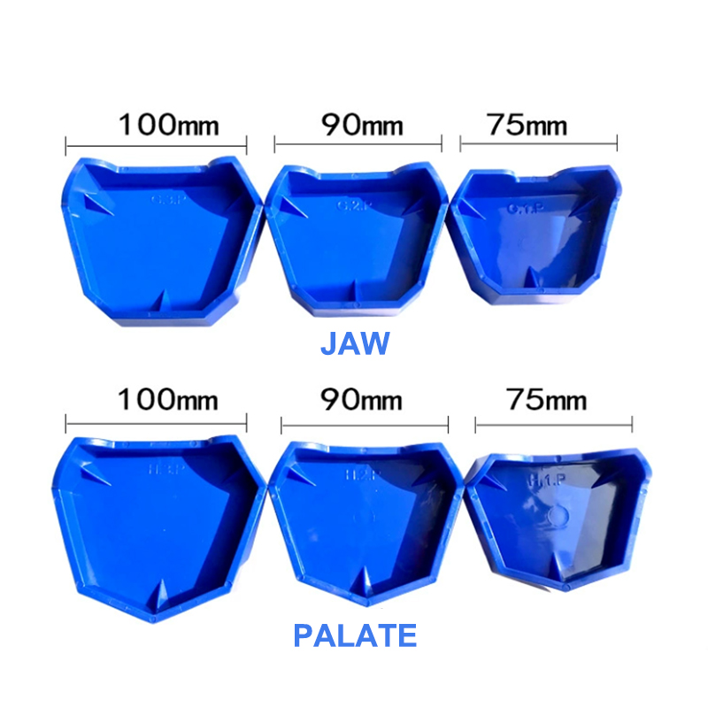 2/6Pcs Silicone  Dental Model  - Teeth Whitening Trays review and price