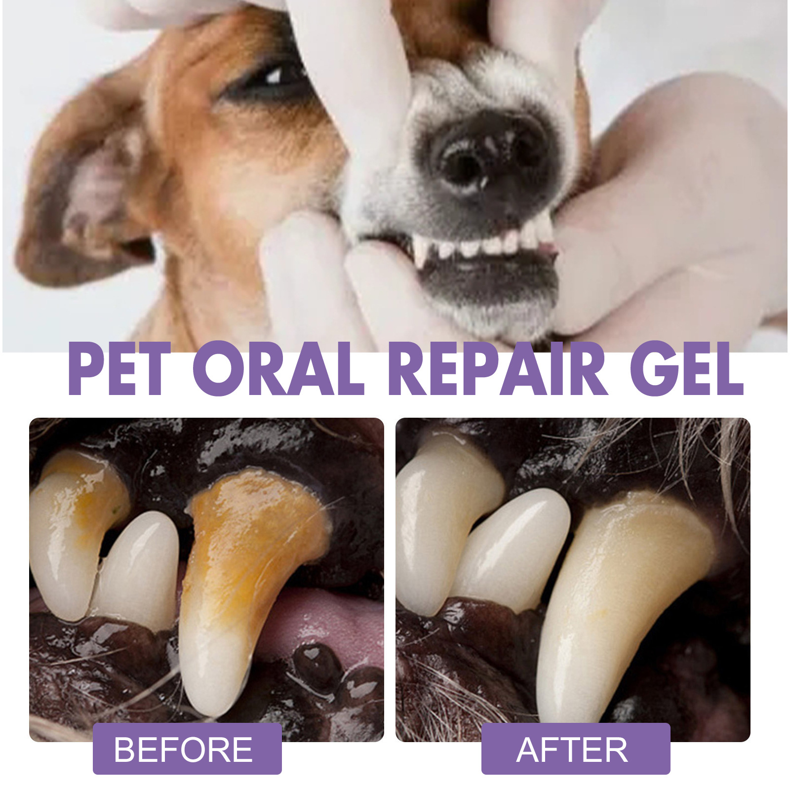 Pet Oral Repair Gel Puppy Tart - Teeth Whitening Paste review and price