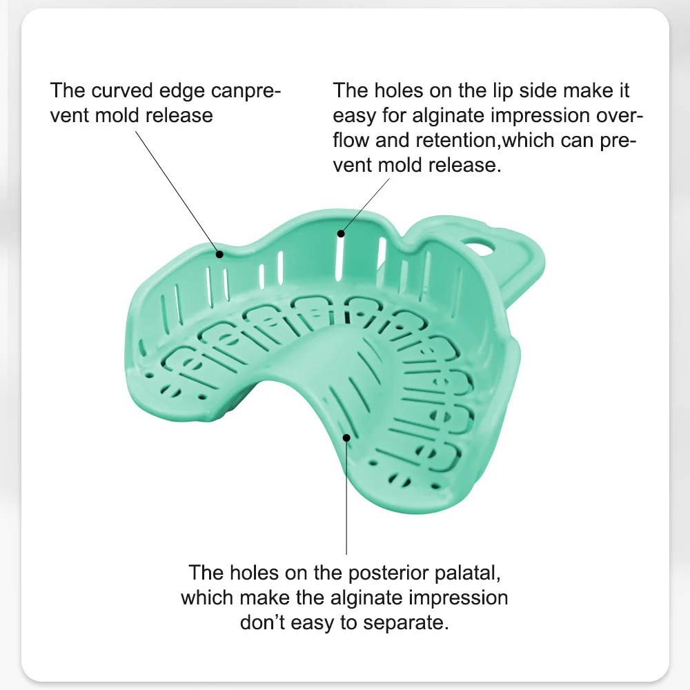 6pcs Dental Implant Tray Green - Teeth Whitening Trays review and price