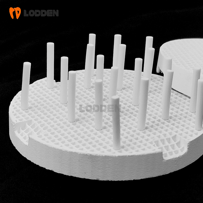 LODDEN Ceramic Honeycomb Firin - Teeth Whitening Trays review and price