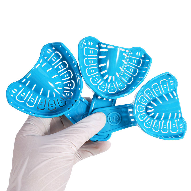 6Pcs Dental Implant Impression - Teeth Whitening Trays review and price