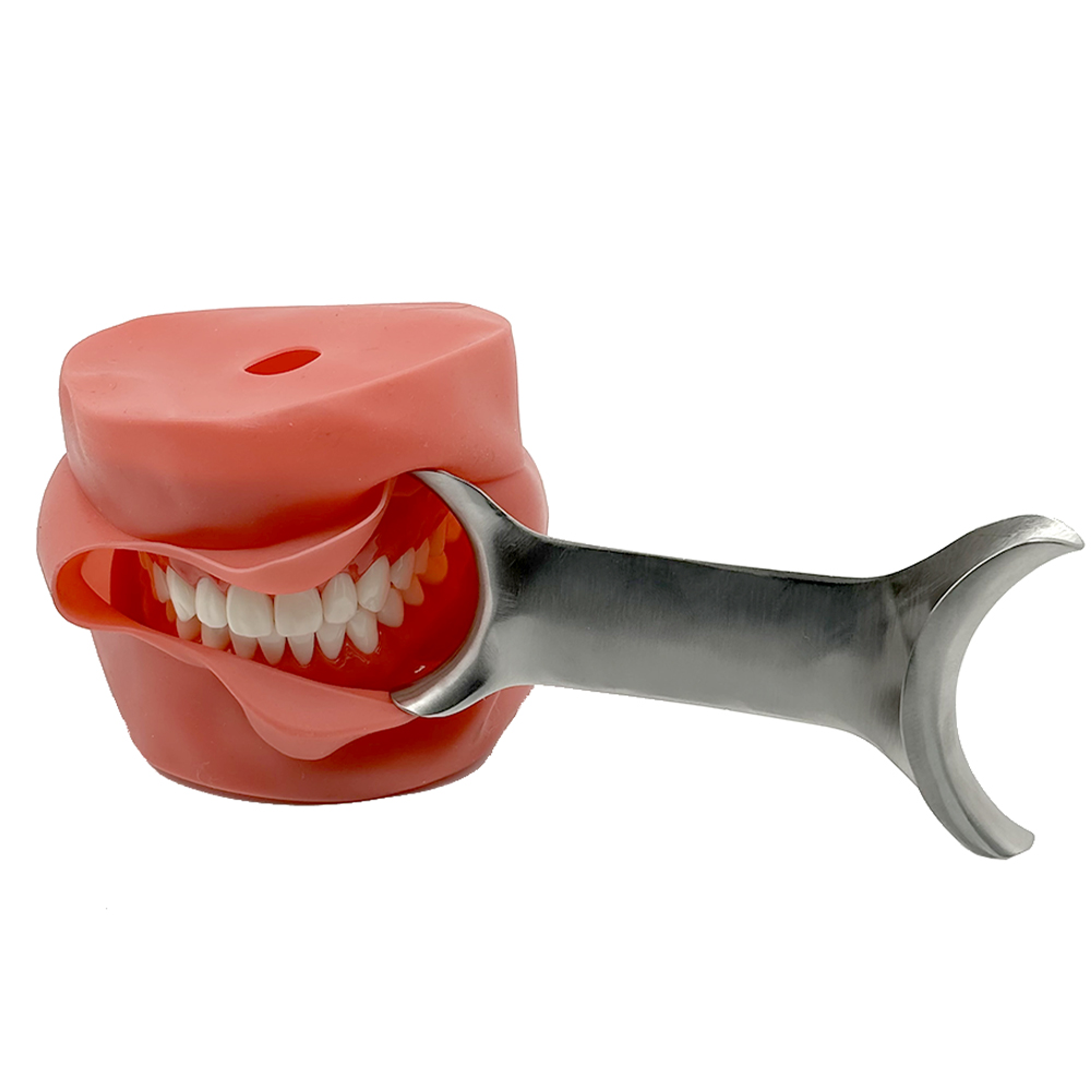 3pcs Autoclavable T-Shape Retr - Teeth Whitening For Photos review and price